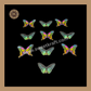 Edible Wafer Butterfly | Pre-Cut Wafer Paper | Stick on Cake Decor | Cake Topper - (EB-011) Sweetkraft | Baking supplies